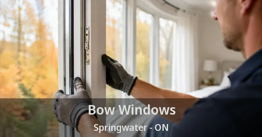 Bow Windows Springwater - ON