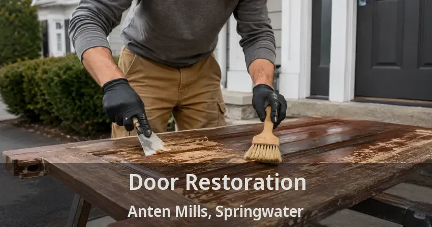 Door Restoration Anten Mills, Springwater - ON