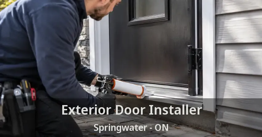 Exterior Door Installer Springwater - ON
