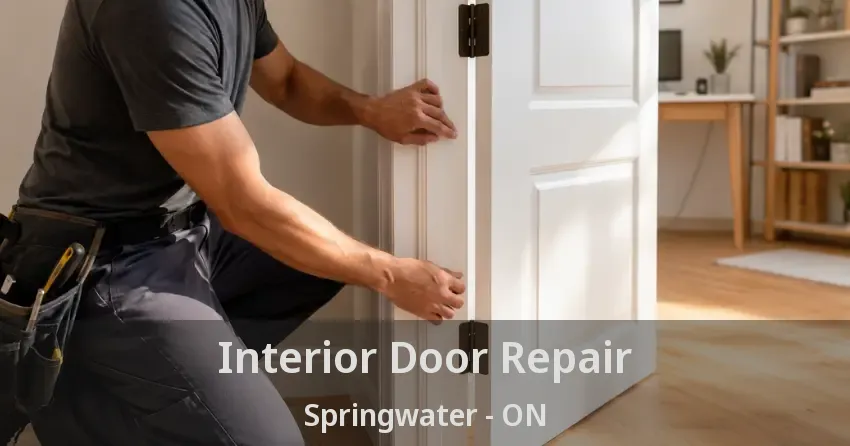 Interior Door Repair Springwater - ON
