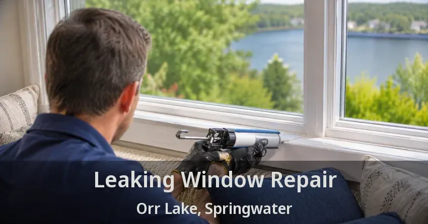 Leaking Window Repair Orr Lake, Springwater - ON