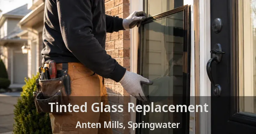 Tinted Glass Replacement Anten Mills, Springwater - ON